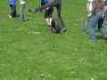 parkspel 3
